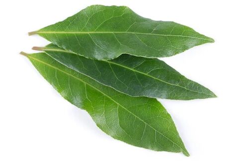 NEOflorax enthält Lorbeerblätter