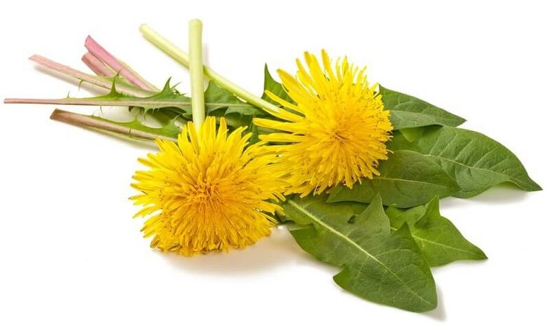 NEOflorax enthält Löwenzahn